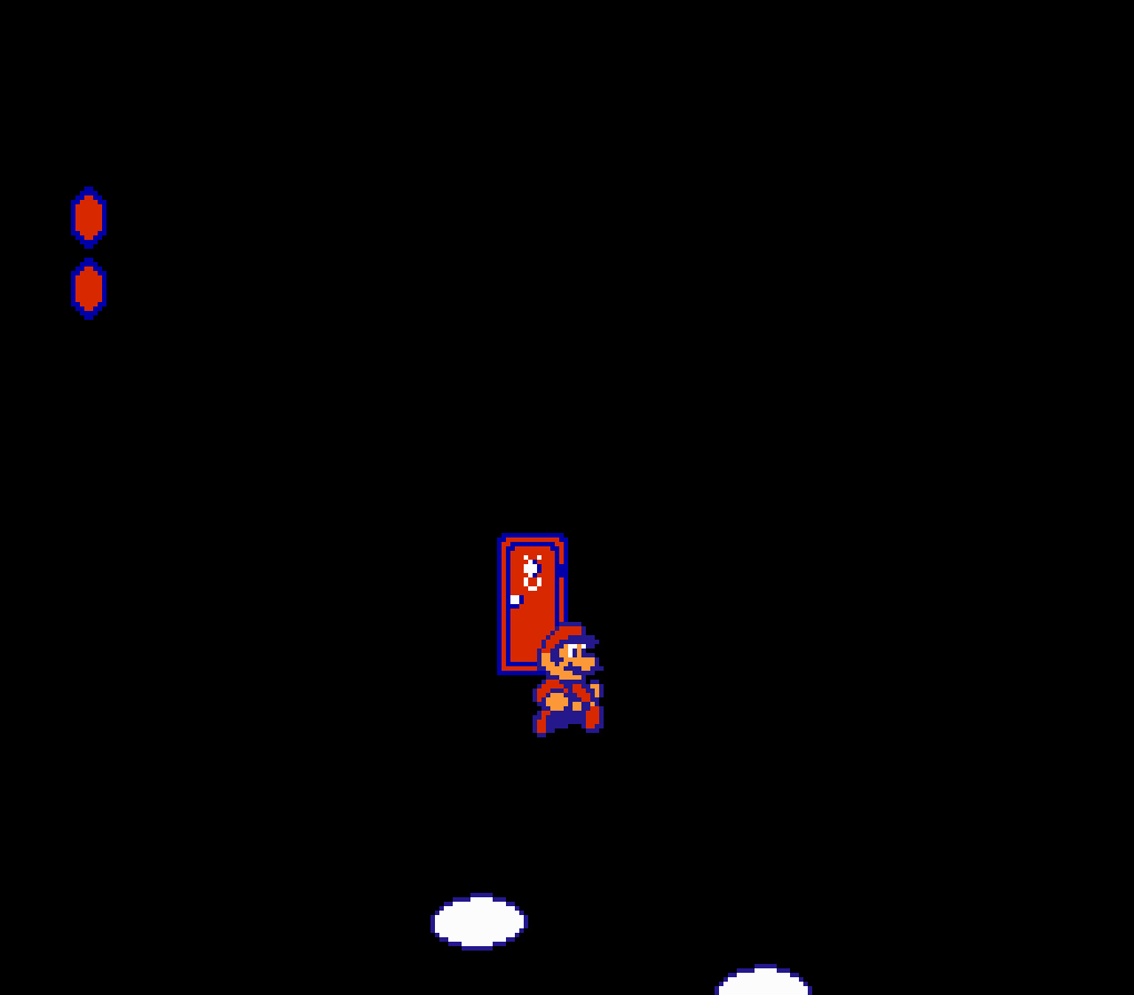 Super Mario Bros. 2: The Door