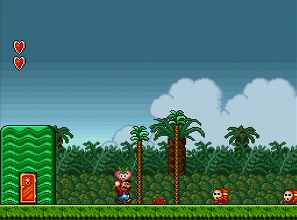 Super Mario Bros. 2: The Worlds of Subcon